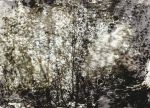 31οι Πλόες: Lumen de Lumine / Φως εκ Φωτός
